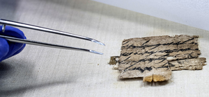 Третий в истории: редчайший папирус эпохи Первого Храма возвращен из США в Израиль