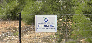 Бетонное будущее Иерусалимского леса. Репортаж из вади Равида