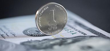 О развороте шекеля и о госстраховании от рэкета с оговоркой. Экономический обзор