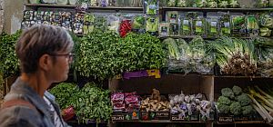 О газовой сделке с Египтом, сильном шекеле и дороговизне жизни в Израиле. Экономический обзор