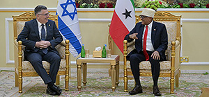 Гидеон Саар встретился с президентом Сомалиленда: "Израиль сам решает, кого признавать"