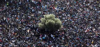 Забастовка африканских нелегалов: массовые митинги