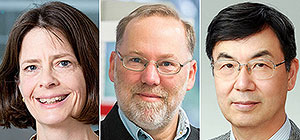 Объявлены лауреаты Нобелевской премии в области физиологии и медицины