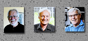 Нобелевскими лауреатами по химии стали разработчики методов криоэлектронной микроскопии

