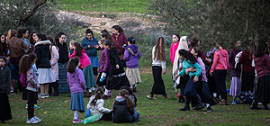 Около 150 тысяч израильтян посетили в субботу парки и заповедники страны