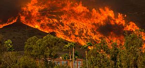 Самый сильный лесной пожар в истории Калифорнии: число жертв растет