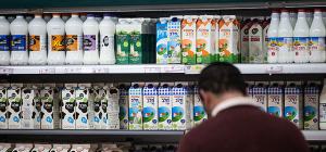 Волна подорожаний: "Штраус", "Юниливер", "Гад", "Тара" и "Кока-Кола" объявили  о повышении цен