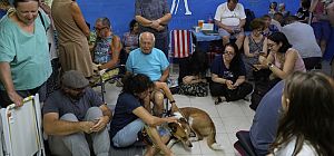 Доступность убежищ в Израиле: что мы узнали за время войны с Ираном
