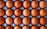 В воскресенье прекращаются поставки куриных яиц в магазины
