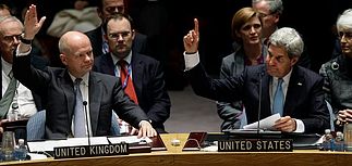 СБ ООН одобрил "химическую резолюцию" по Сирии