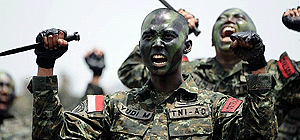 Армия Индонезии: праздничный парад и показательные выступления