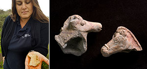 Древние конские фигурки: уникальные находки во время прогулок по северу Израиля
