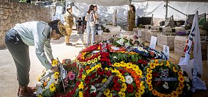 С прошлого Дня Памяти жертв войн и терактов погибли 398 человек, включая 319 военнослужащих