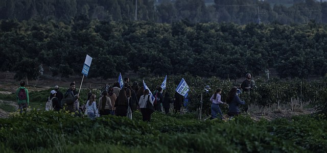 Активисты "Нахала" прорвались в сектор Газы, чтобы сажать деревья