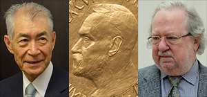 Лауреатами Нобелевской премии по медицине стали ученые-онкологи из США и Японии