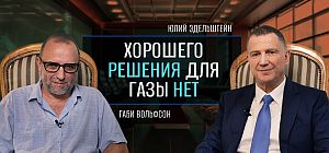 "Хорошего решения для Газы нет". Видеоинтервью с Юлием Эдельштейном