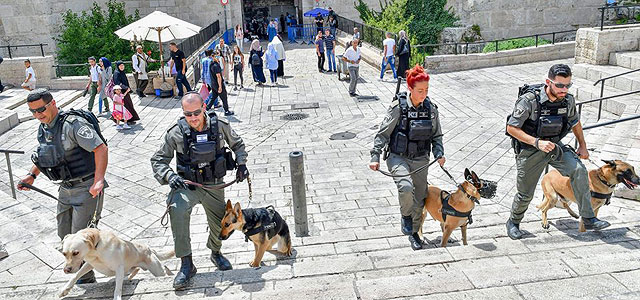 Задержаны 72 участника беспорядков на Храмовой горе