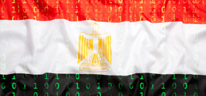 Израильская компания: за хакерской атакой на оппозицию в Египте стоит правительство
