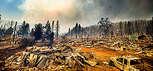 Планета горит от А до Я. Фоторепортаж с пожаров от Америки до Якутии.