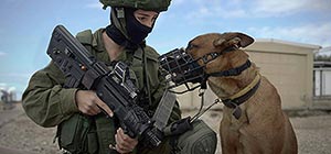 Собаки на службе в Армии обороны Израиля. Фоторепортаж