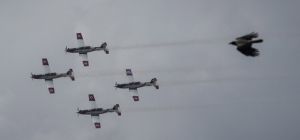 В День независимости Израиля состоялся парад ВВС ЦАХАЛа. ФОТО