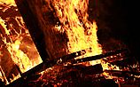 Пожар в Реховоте: сгорели шесть человек, среди них пять детей