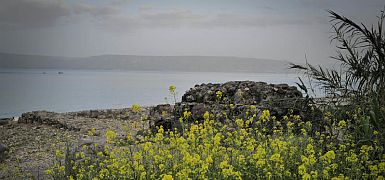 Прогноз: после солнечных выходных предстоит дождливая неделя, на Хермоне возможен снегопад