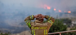 Итоги лесных пожаров: выгорели 20 тысяч дунамов, ни одного погибшего