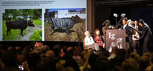 "Шнобели-2025": молоко с запахом чеснока и пьяные летучие мыши. Израильтяне среди лауреатов