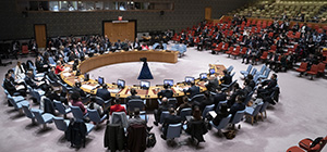 Франция, ОАЭ и Китай запросили обсуждение в СБ ООН операции в Дженине