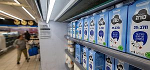 Снижение ставки, "войны" за iPhone и молоко. Экономический обзор