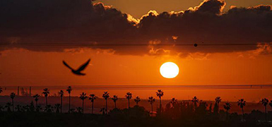 Перемирие с Ираном: за и против, успехи и угрозы. Опрос Newsru.co.il