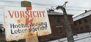 Вынесены приговоры участникам "голой" акции протеста около ворот Освенцима