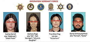 "Орден Черного лотоса": пропалестинские "спасители черепах" готовили новогодний теракт в США