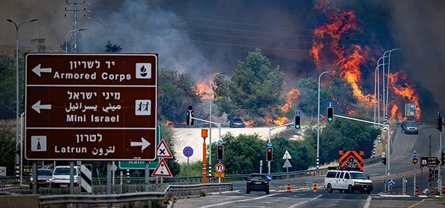 Лесные пожары в Израиле. Фоторепортаж